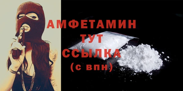 молекула духа Покров