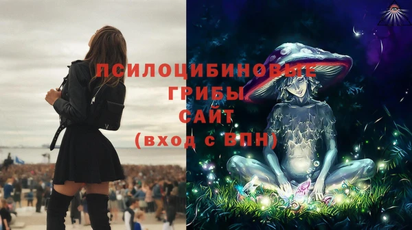 Альфа ПВП Алексин