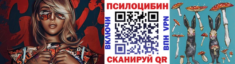 купить закладку  Ачхой-Мартан  Галлюциногенные грибы GOLDEN TEACHER 